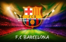 yy易游体育官网-新西兰击败瑞典，男子篮球队势不可挡，新西兰vs瑞典结果