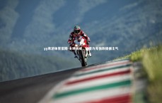 yy易游体育官网-主场扬威，汉堡力克强敌提振士气